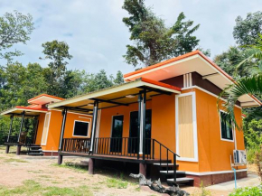 Star garden home